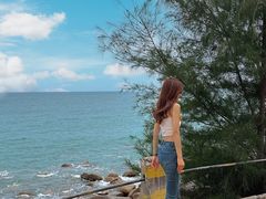 -广东惠东海龟国家级自然保护区