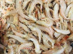 -青岛沙子口国家中心渔港