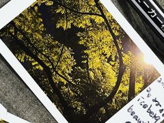 -上海山野camping·户外天幕烧烤·团建拓展营地