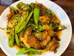 -全乐鱼馆·淳牌有机鱼直营店