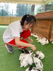 -萌宠亲子动物乐园(槐房万达店)