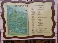 -大湾区中央湿地公园