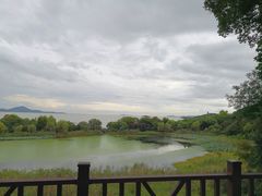 -上海市保健医疗中心