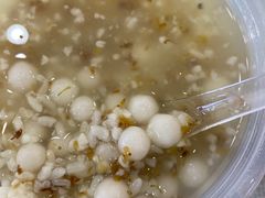 -潘玉麟糖粥