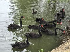 -长兴太湖图影湿地文化园