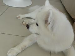 -怪兽屋·羊驼·猫咖·狗咖(俊华广场店)