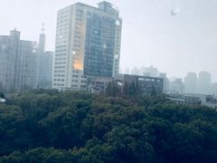 -上海交通大学医学院附属瑞金医院(总院)