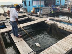 -海上驿站渔家菜馆