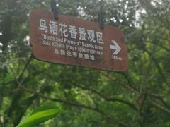 -呀诺达热带雨林