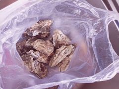生蚝-必点海鲜·鲅鱼水饺(鞍山西道店)