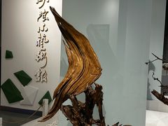 -吉林市博物馆