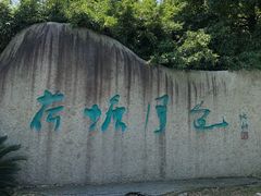 -荷塘月色湿地公园·向阳花洲
