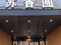 -丁老爷子苏香圆
