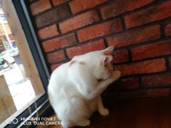 -B.O.M波姆烘焙(凤凰街店)