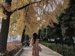 -大连人民广场