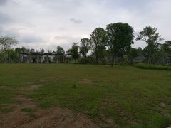 绿化-宝安西湾红树林湿地公园