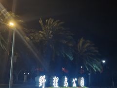 -野狸岛