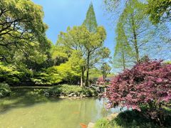 -杭州植物园