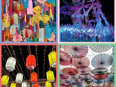 -洋湖国家湿地公园