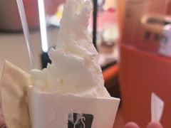 -野人先生现做冰淇淋(北京王府井东方新天地店)