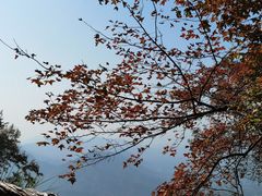 -广州市石门国家森林公园