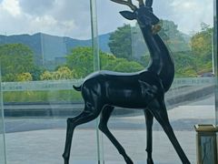 -碧桂园十里银滩