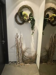 -Oasis Beauty水磨坊科技美肤中心