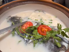 -全乐鱼馆·淳牌有机鱼直营店