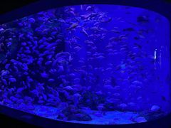 -成都浩海立方海洋公园