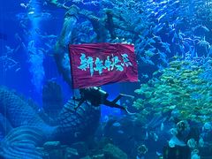 -哈尔滨波塞冬海底世界