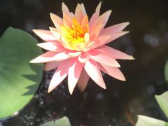 -艾溪湖湿地公园