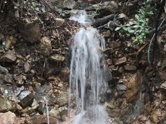 -鼎湖山风景区