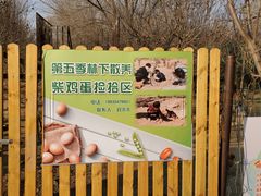 -第五季龙水凤港生态露营农场
