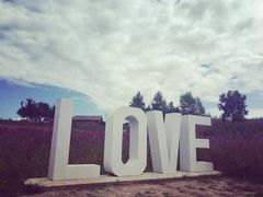 -北纬44度·金珠花海休闲农业旅游景区