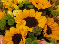 -青岛蓝海大饭店·爱琴海自助餐厅(崂山店)