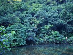 -黔灵山公园-南门售票处