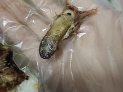 -老黄记手撕烤兔(玉林街店)