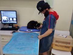 -美迦爱-牙专科·兔科·骨科诊疗中心(北苑店)