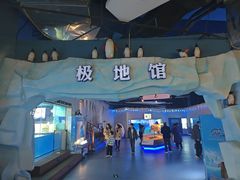 -重庆欢乐海底世界