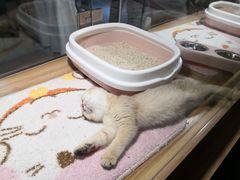 -宠物世家(仲盛世界商城店)