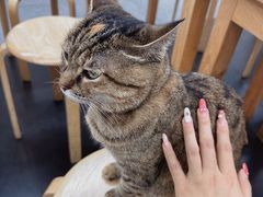 -龙华素斋(龙华路店)