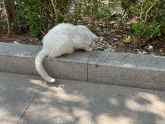 -廊坊市自然公园