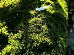 -昆嵛山石门里景区