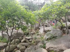 -崂山仰口游览区