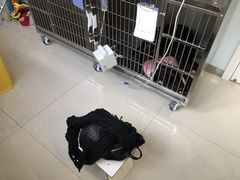 -骐奇宠物诊疗中心(南亭公路店)