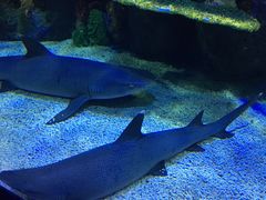 -石林冰雪海洋世界