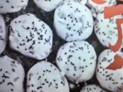 -老盛兴汤包馆(江宁一店)