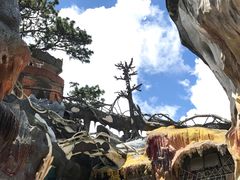 -疯狂屋