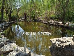 -大悲禅寺