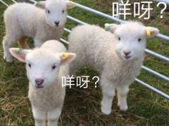 -瑞幸咖啡(协信星光广场店)